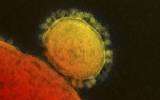 mers virus © reuters