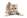 Bachbloesems voor katten