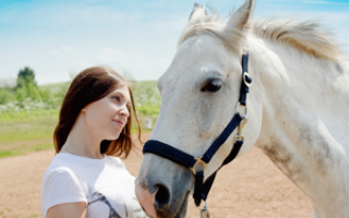 Bachbloesem Mix 120 Stress bij paarden
