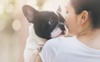 Bachbloesem Mix 102 Onzindelijkheid bij honden